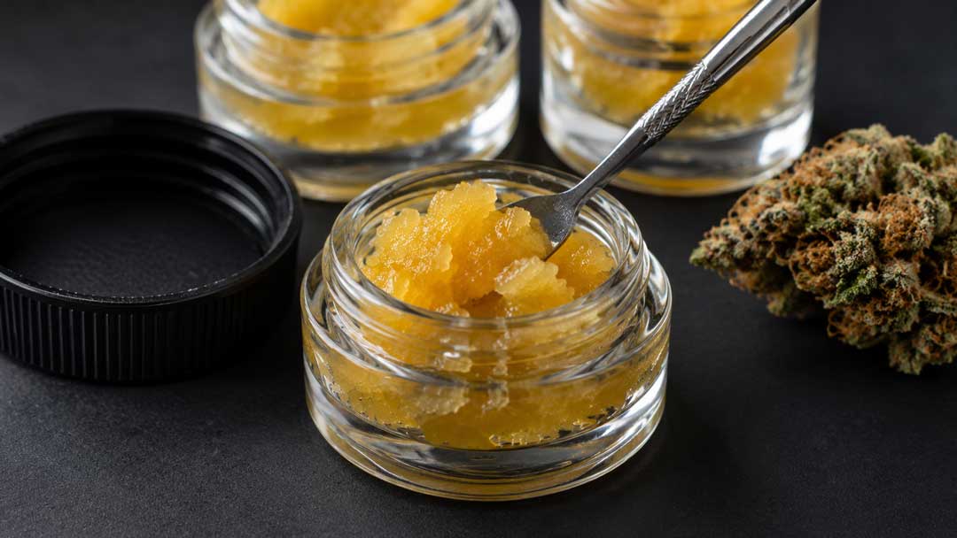 Live Resin Badder Buying Guide: 5 Mistakes to Avoid
