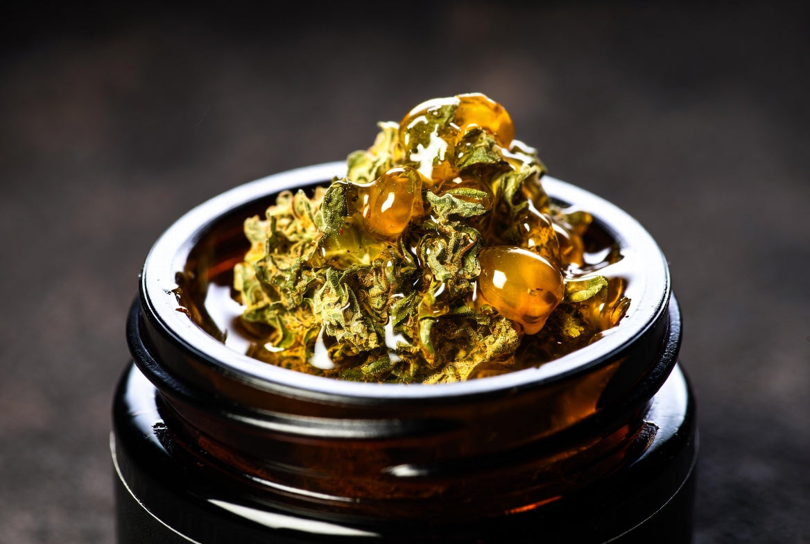Live Rosin Hash: 2026 Flavor Breakthrough