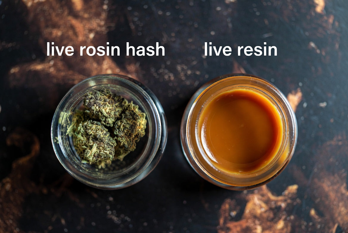 Live Rosin Hash vs Live Resin: Ultimate Comparison