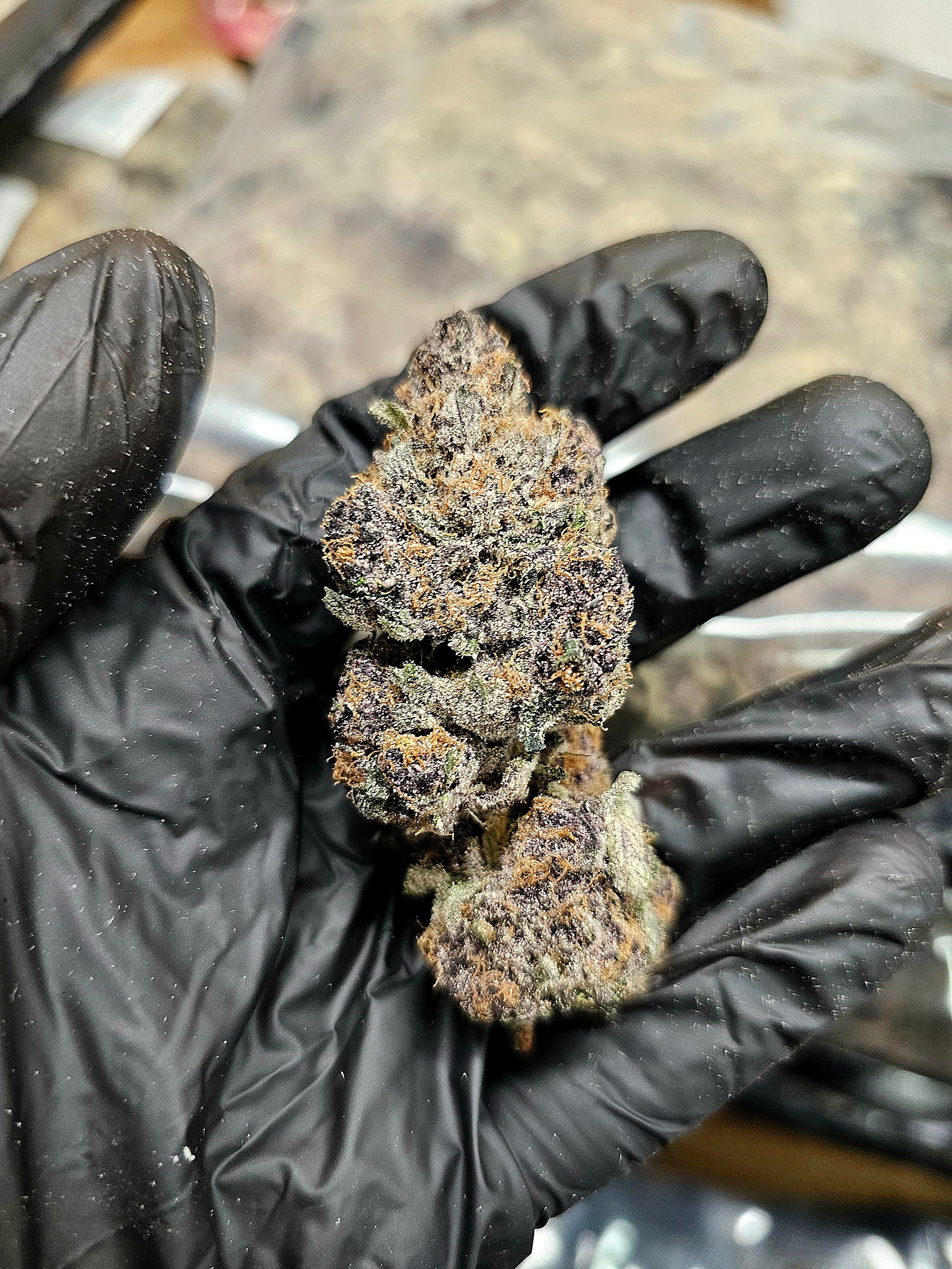 BlockBerry | First Cut Exotics | Flower