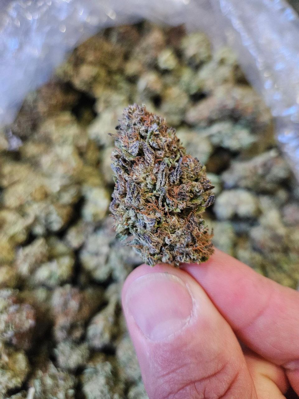 The Soap | Top Tier image 0