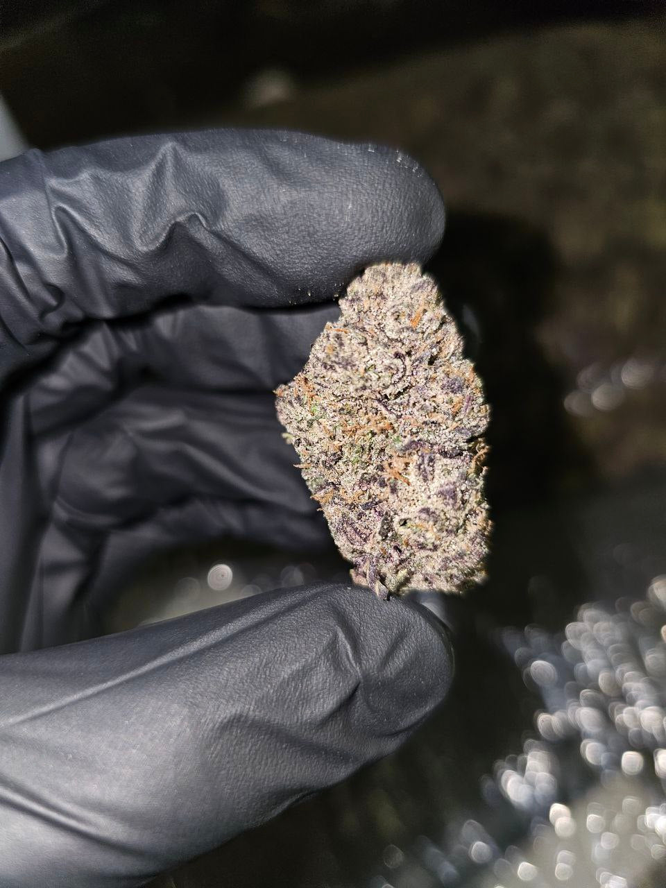 Chocolato | 14g Packs by Diesel | Boutique Tier | PROMO image 2
