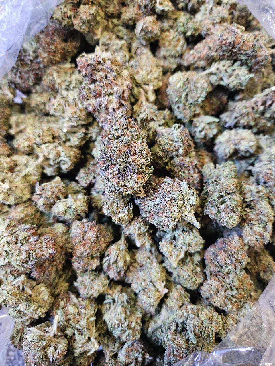 The Soap | Top Tier image 1