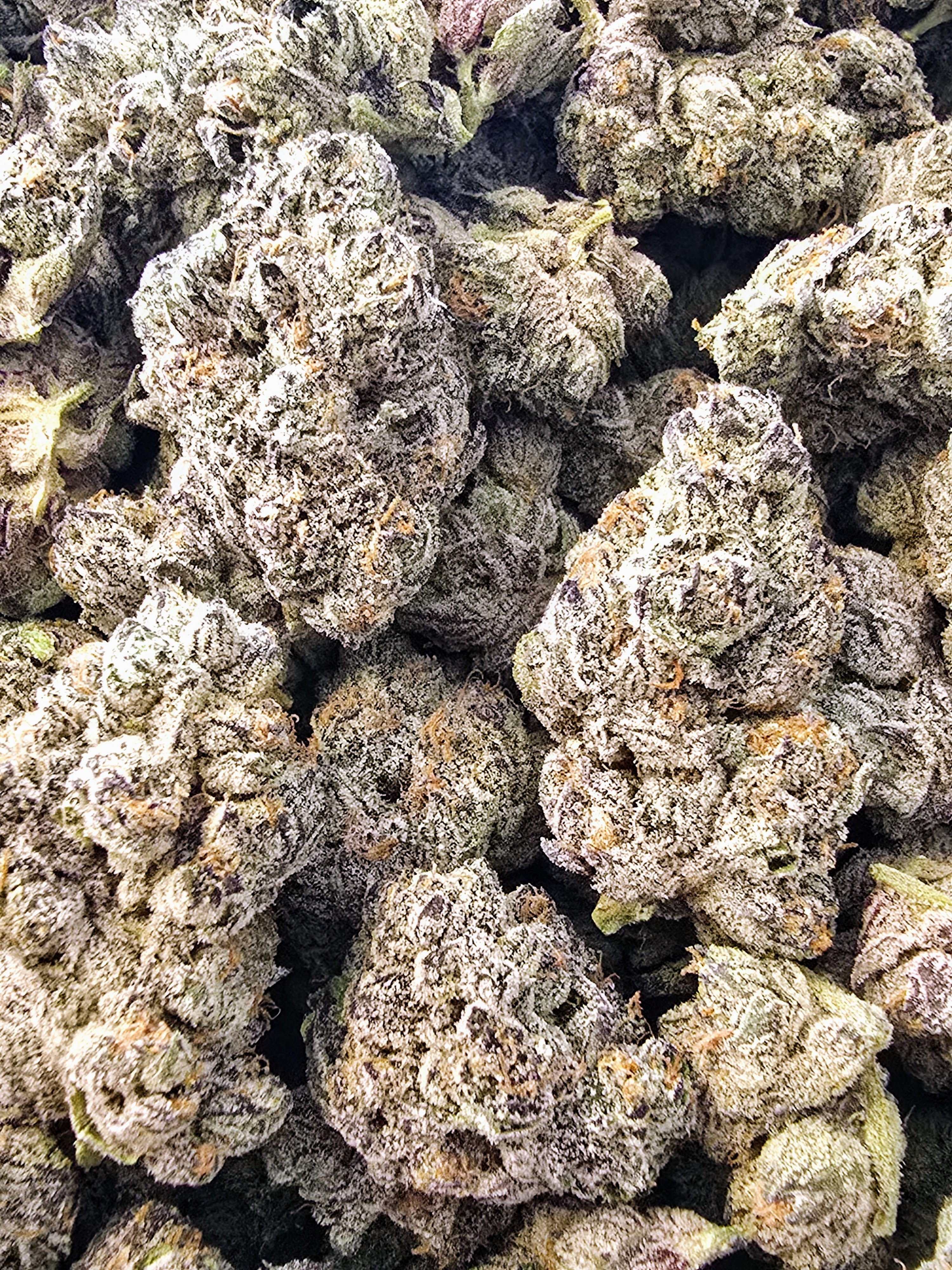 Snowman | 7g Packs | First Cut Exclusive image 0