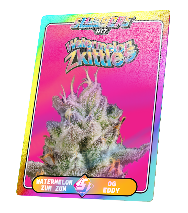 WaterMelon Skittelz | SLUGGERS | Infused PreRoll Pack image 1