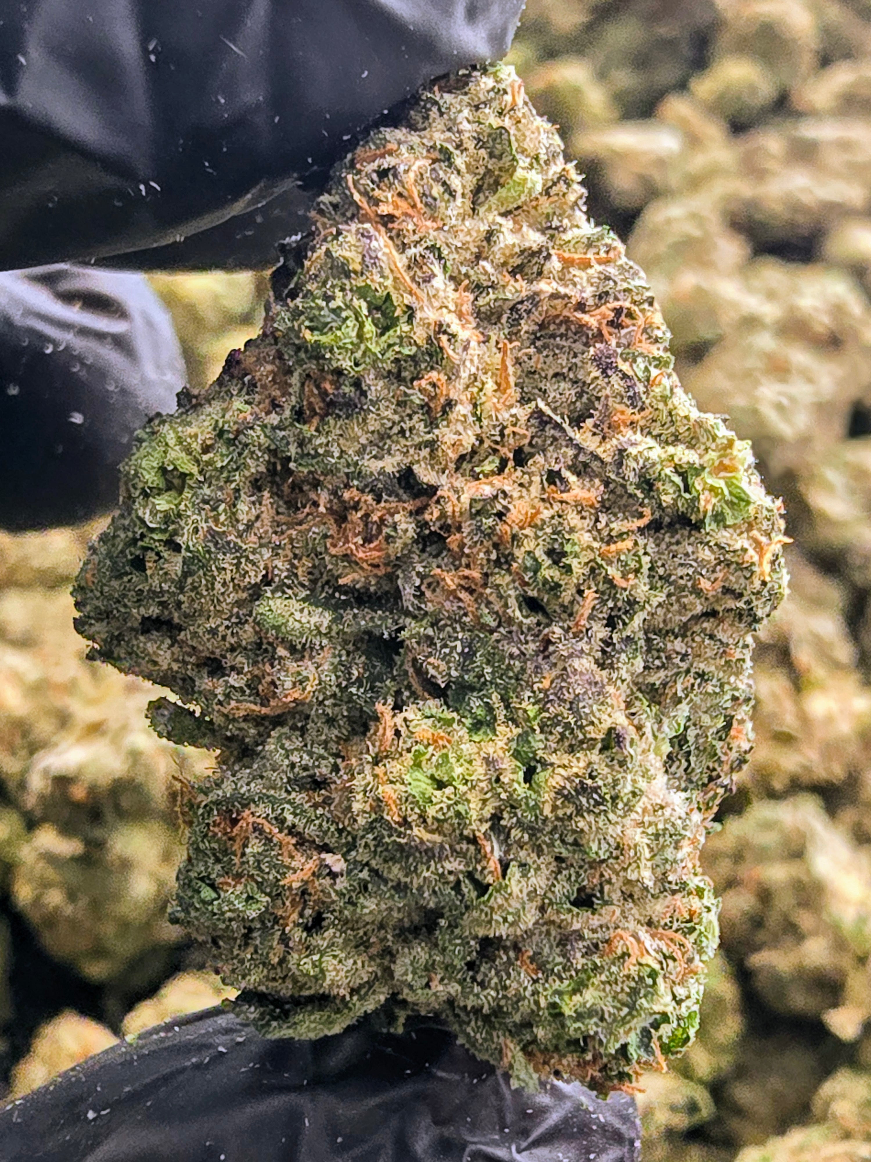 Magic Marker | Top Tier image 0