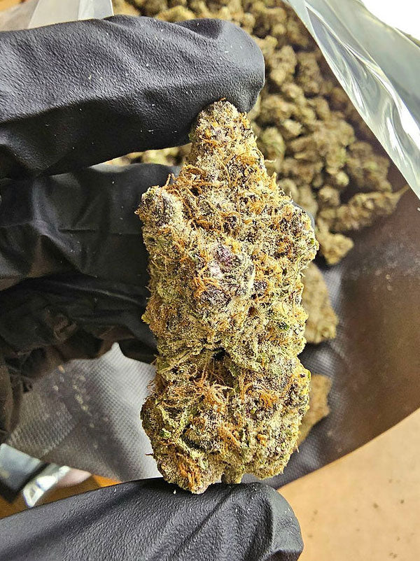 BOUTIQUE EXOTICS FLOWER | CUSTOM BUNDLE | MIX N MATCH