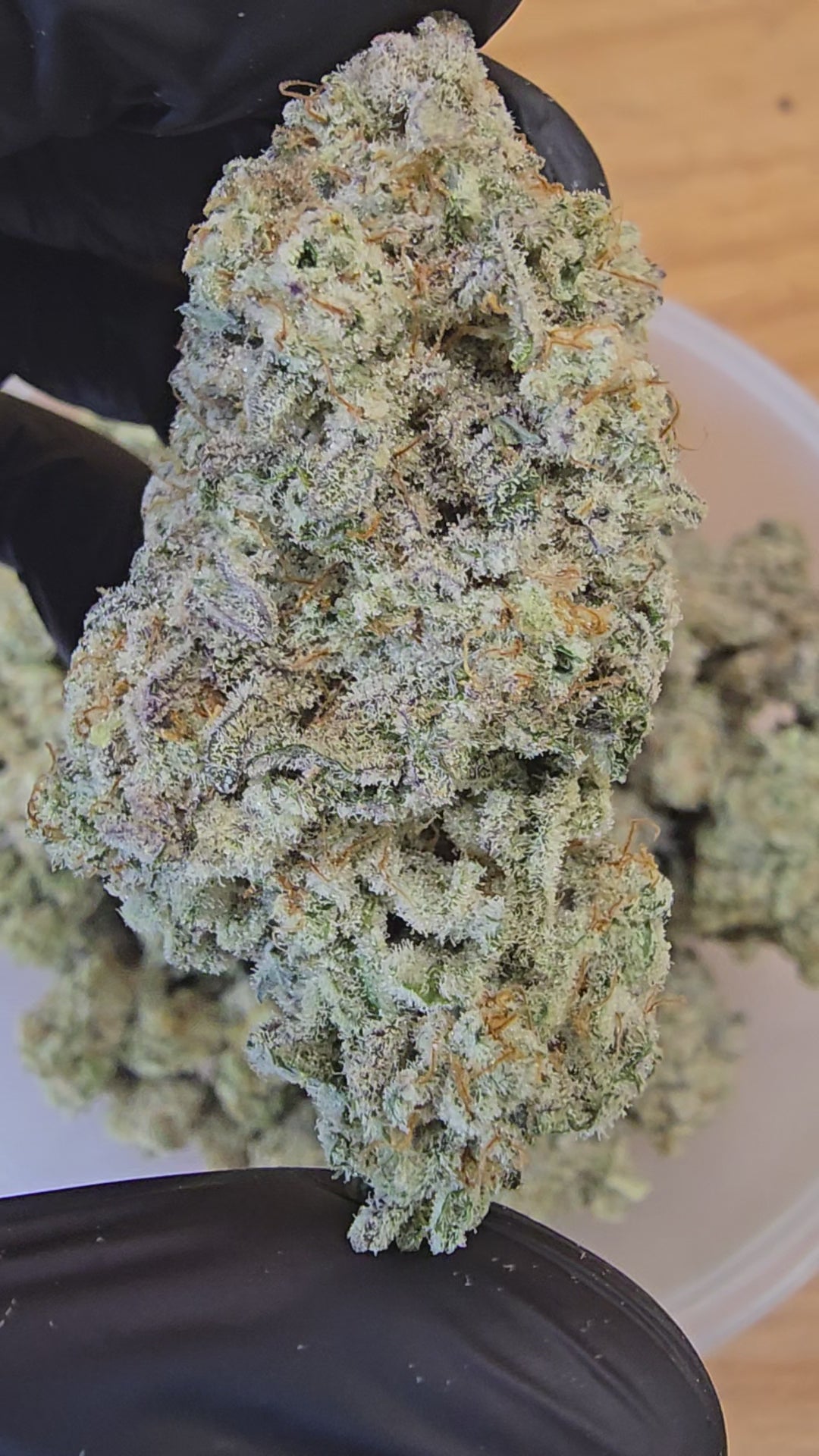 MAC 1 | First Cut Exclusive | Flower