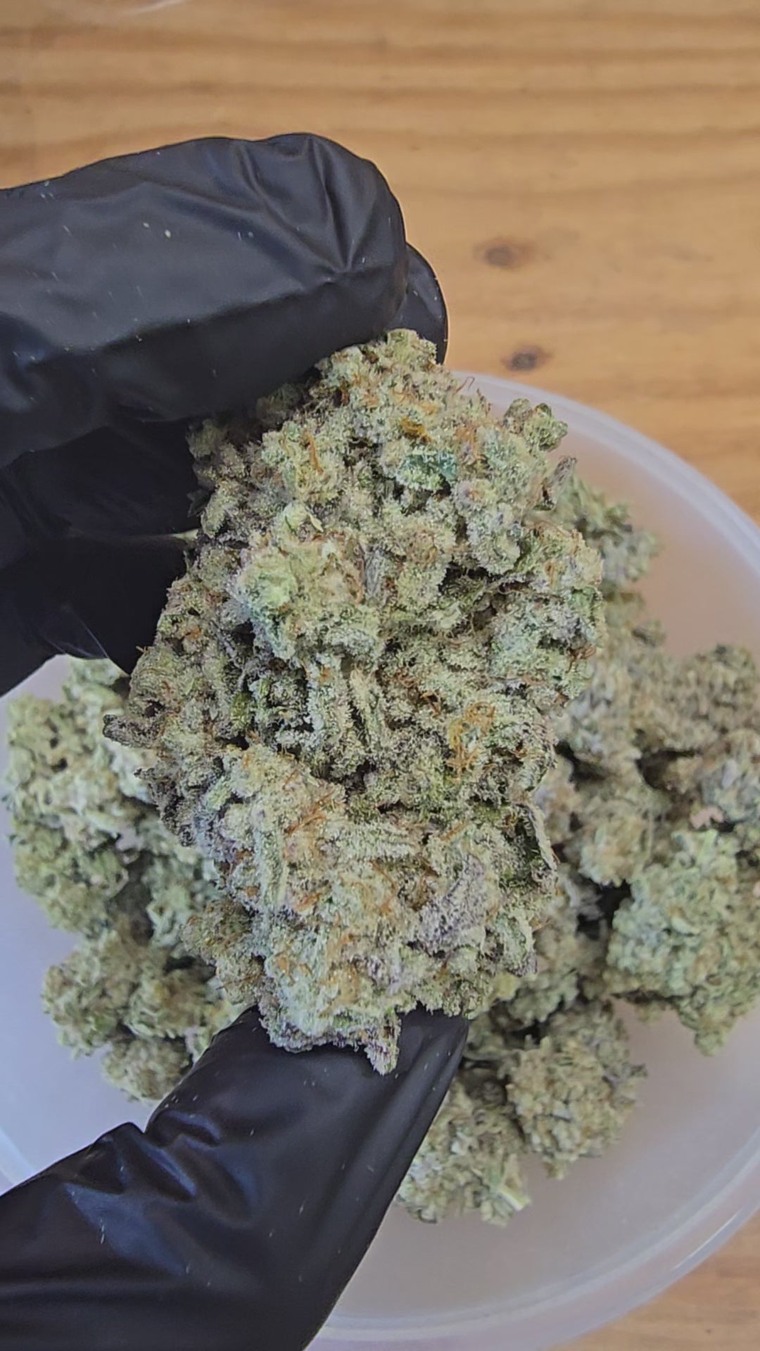 MAC 1 | First Cut Exclusive | Flower