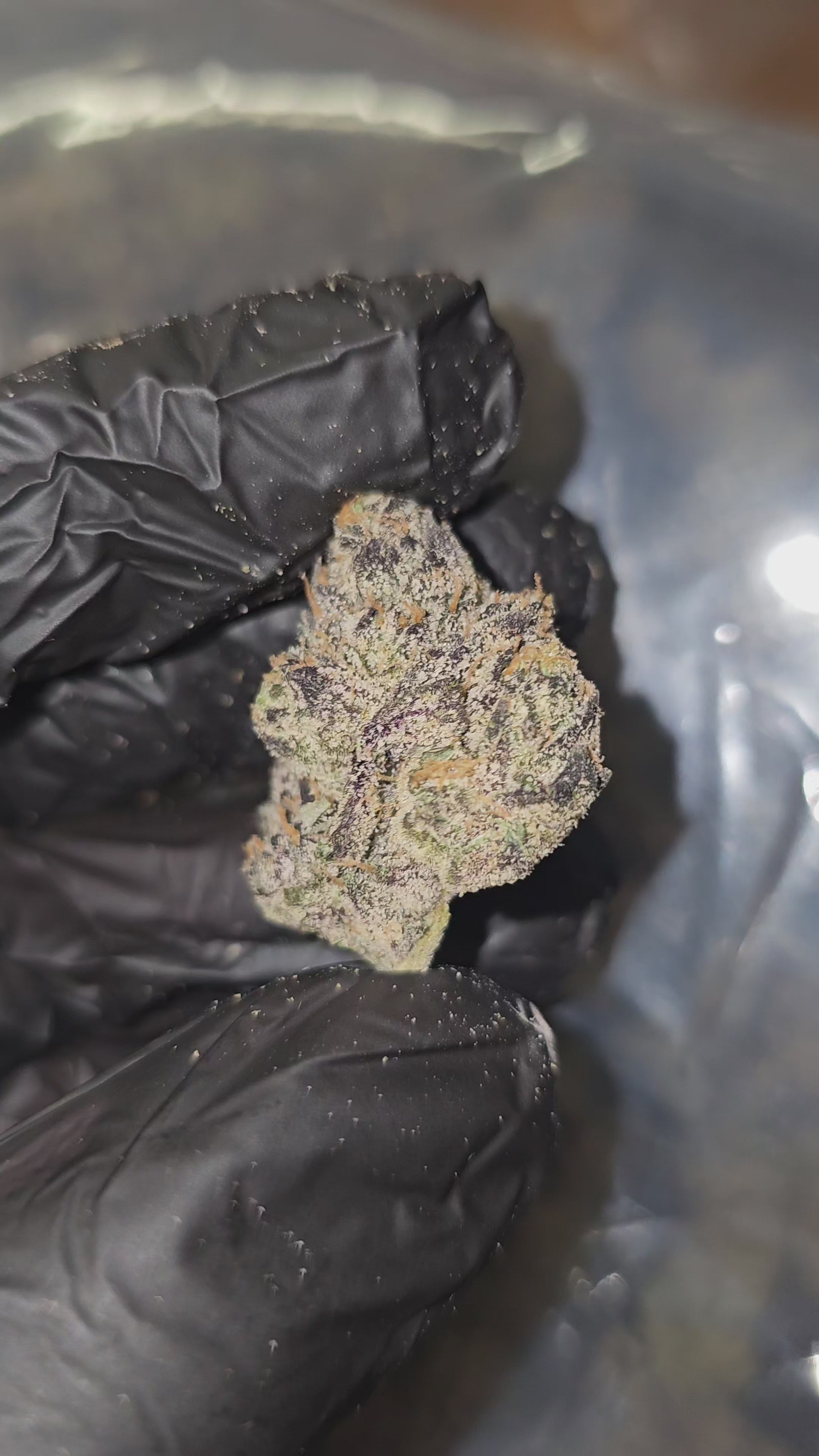Wedding Cake | First Cut Exclusive | Flower | ON SALE
