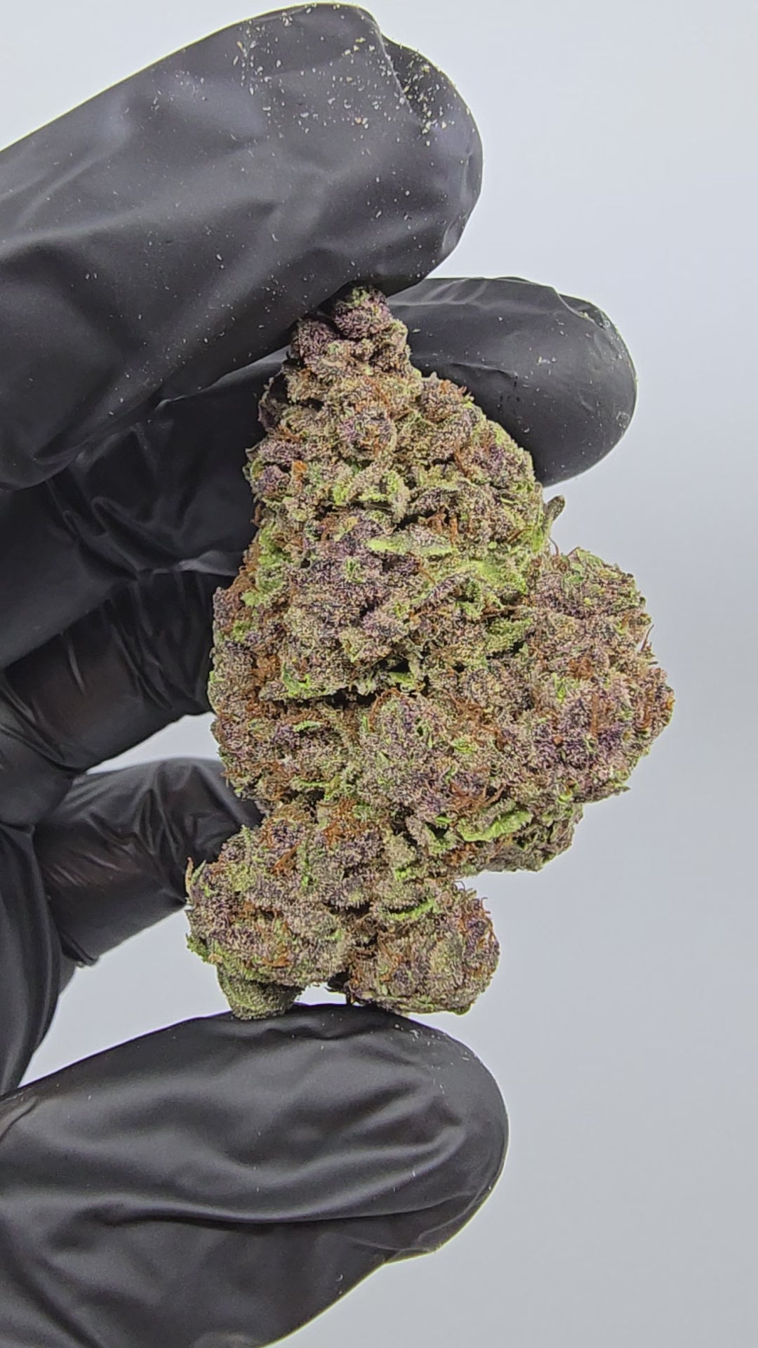 Tropicana Cherry | Top Tier | Flower | ON SALE