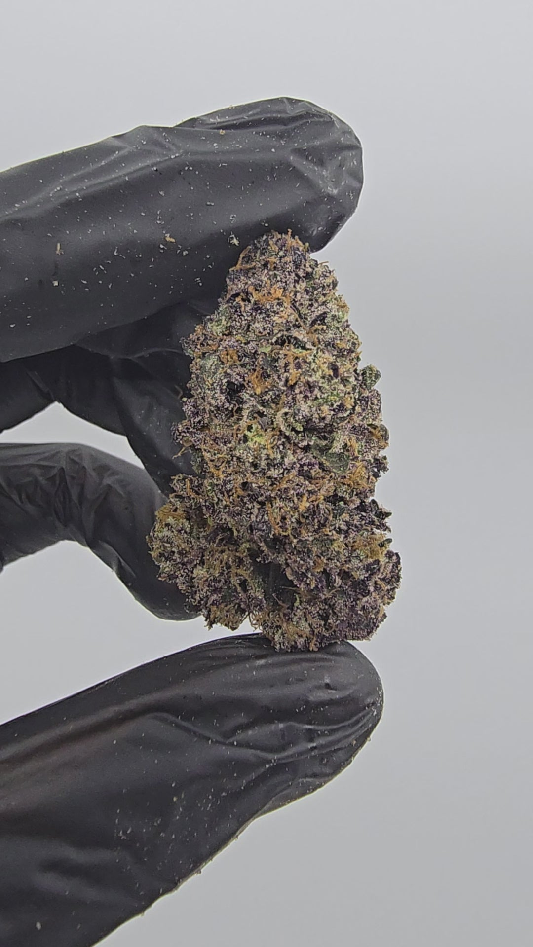 Diesel's Sherb | (Sunset Sherbet x Sour Diesel) | First Cut Exclusive | Flower | ON SALE