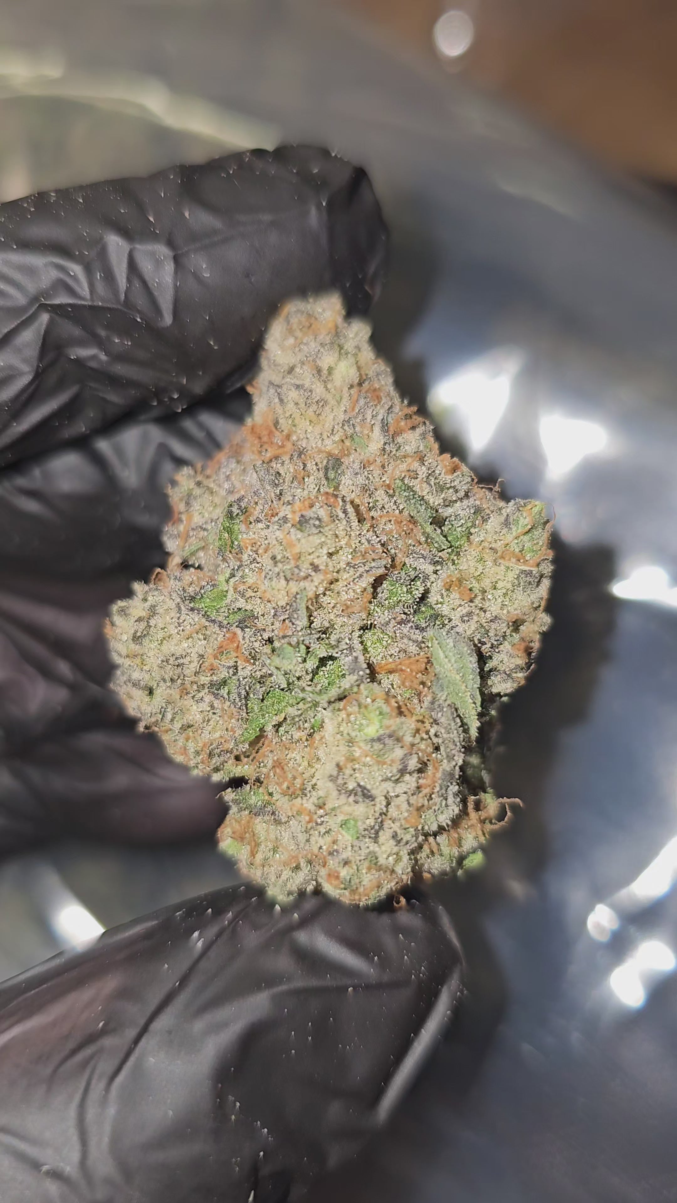TimeWreck | First Cut Exclusive | Flower