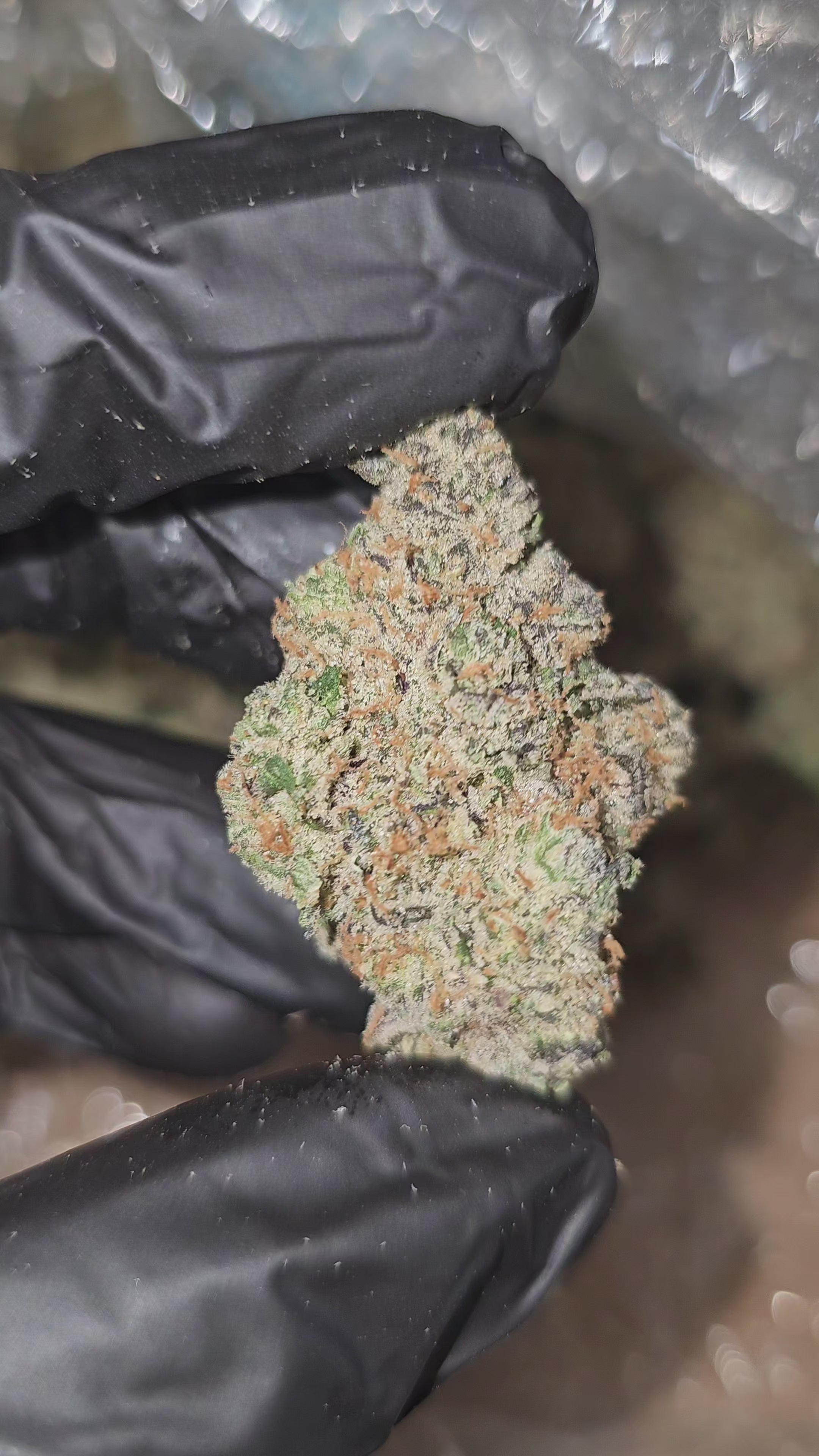 TimeWreck | First Cut Exclusive | Flower