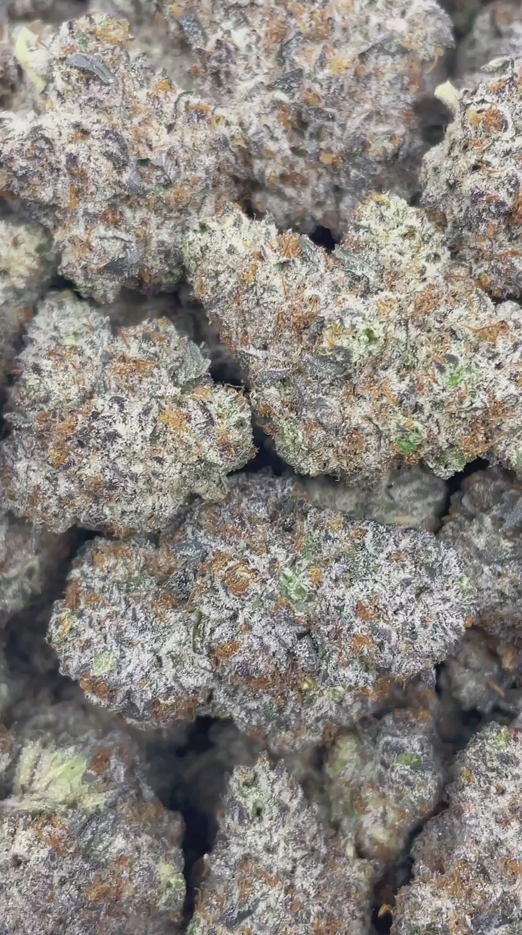 London Pound Cake | First Cut Exclusive | Flower | ON SALE