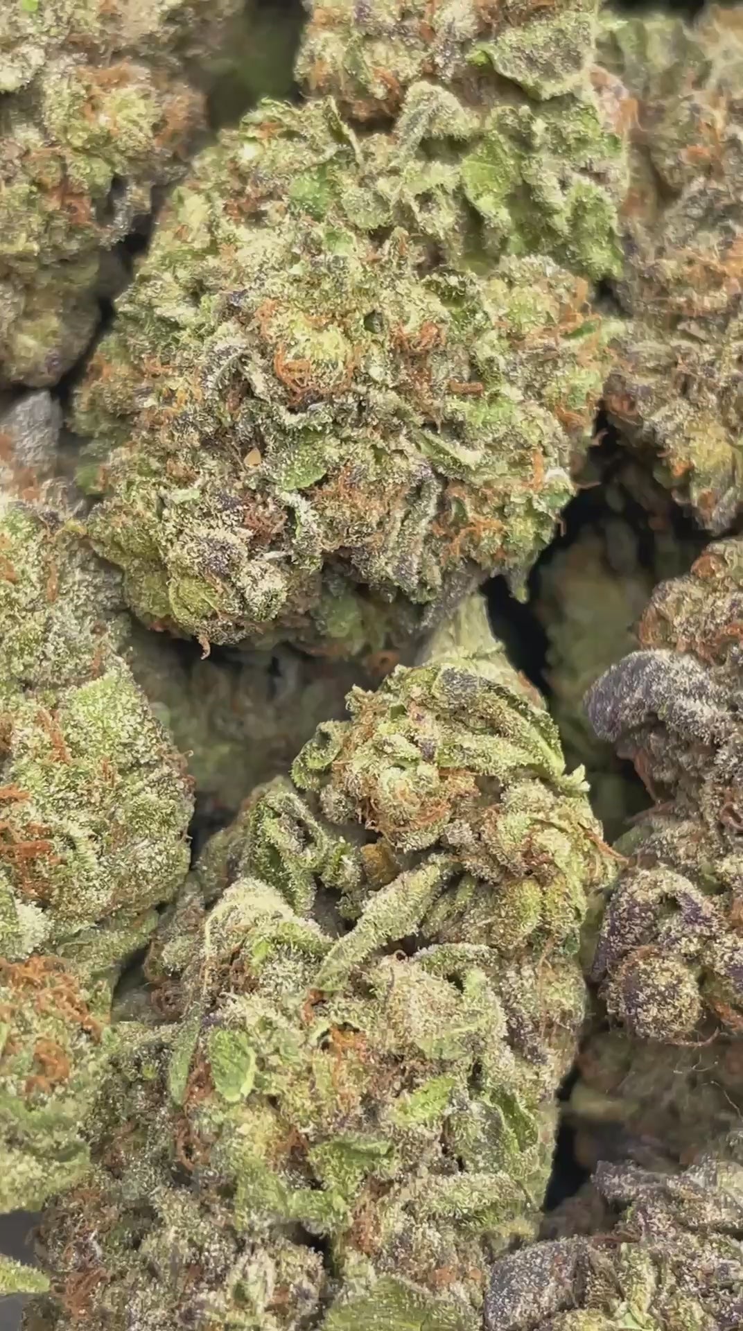 Luka Magic | Top Tier | Flower | ON SALE