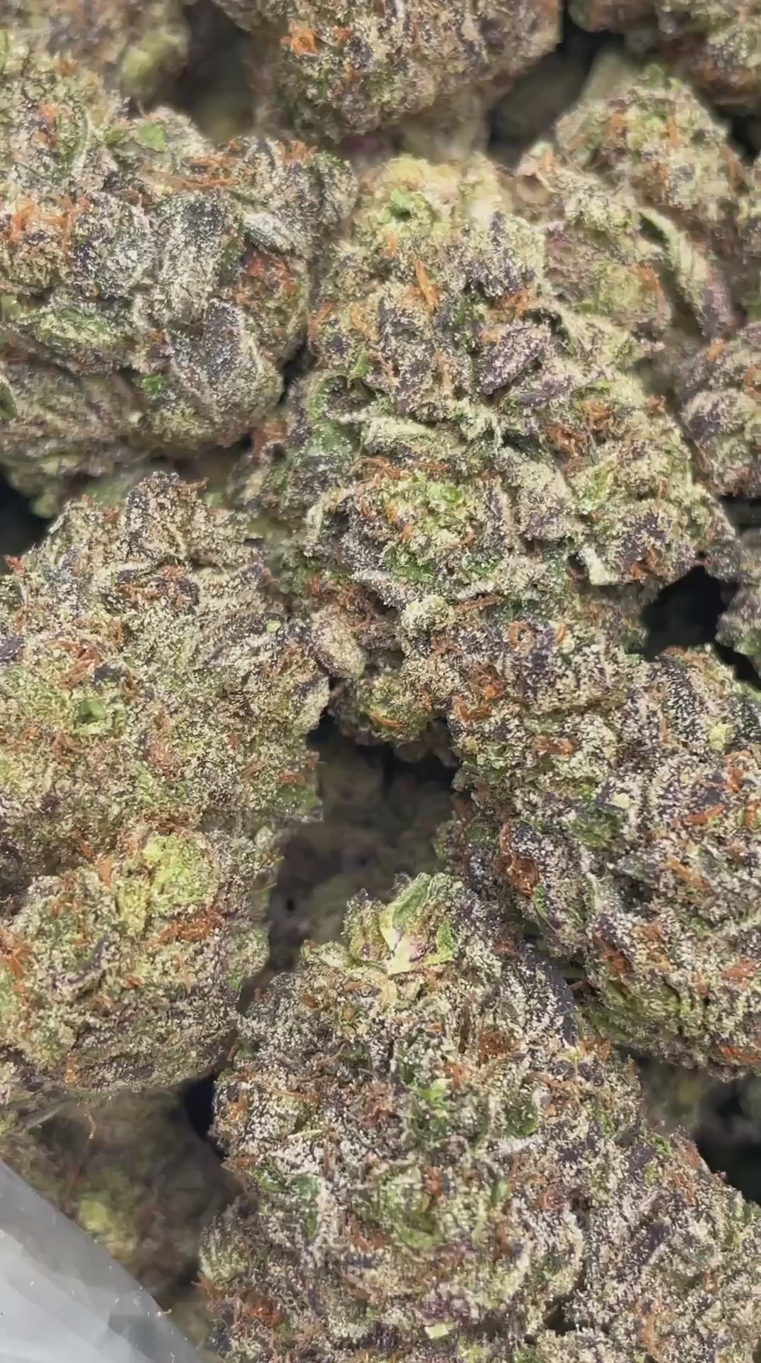 Sweet Tarts | Boutique Tier | Flower | ON SALE