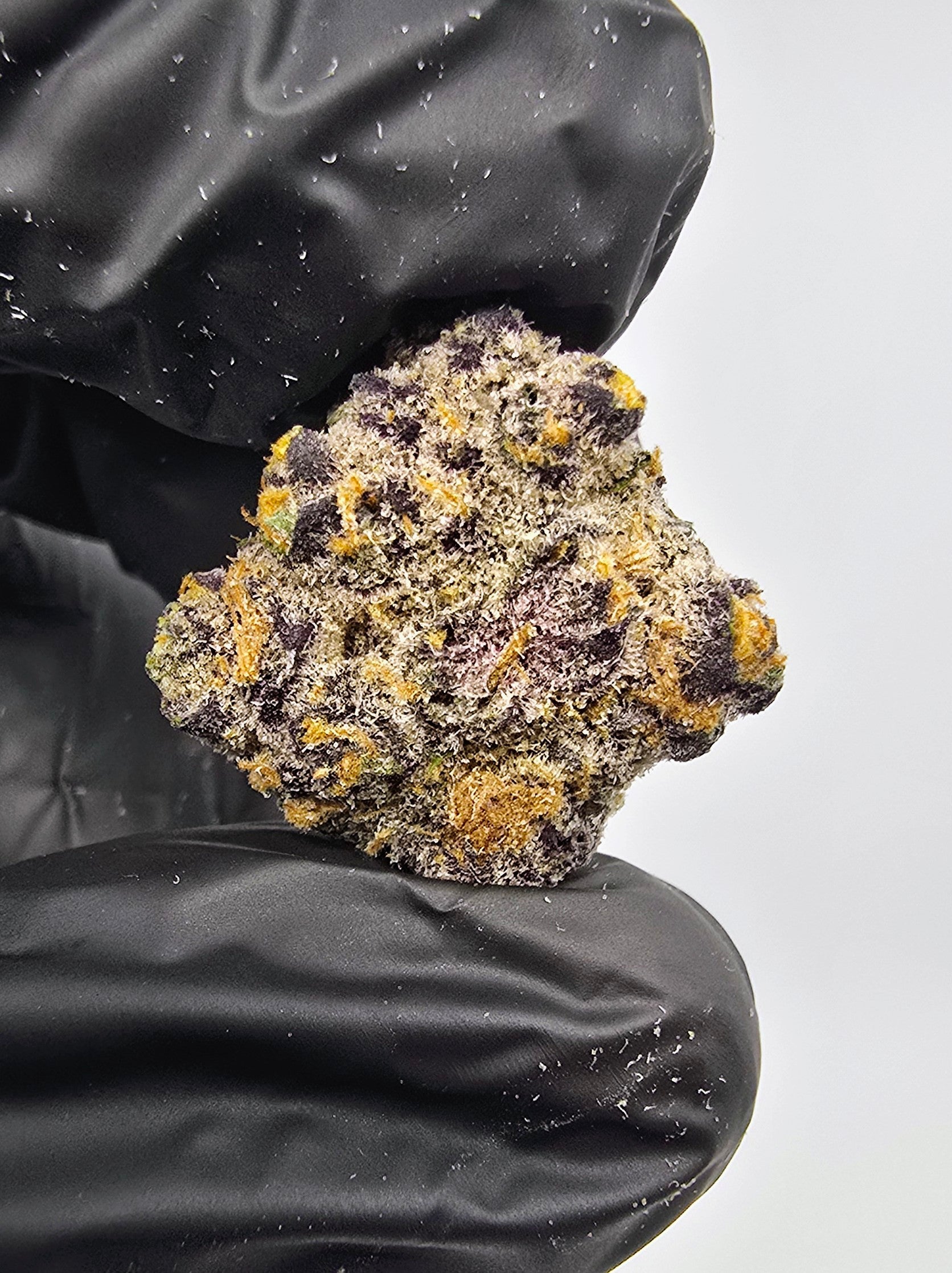 Forbidden Boof | "Medium Buds" | Boutique Exotics | Flower | ON SALE