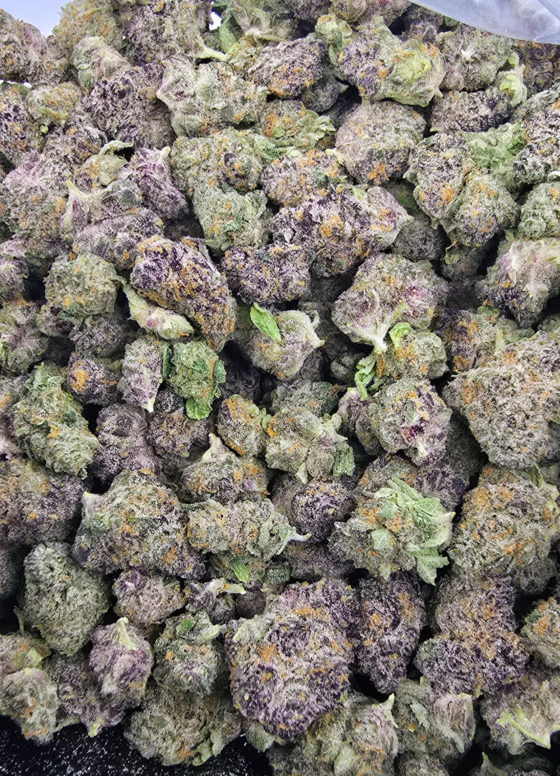 Forbidden Boof | "Medium Buds" | Boutique Exotics | Flower | ON SALE