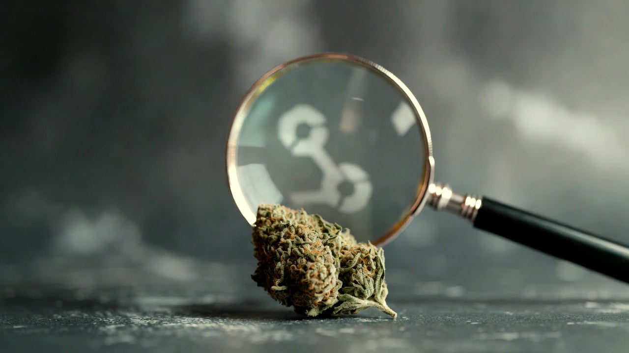 Risks of Unverified Exotic Weed
