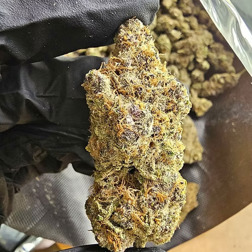 Boutique Flower