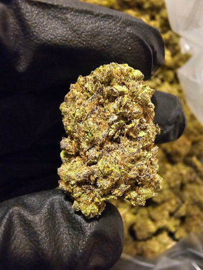 CUSTOM ORDER | TOP TIER image 1