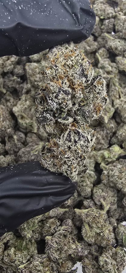 Blue Nerdz | First Cut Exclusive | Flower | 7g Packs