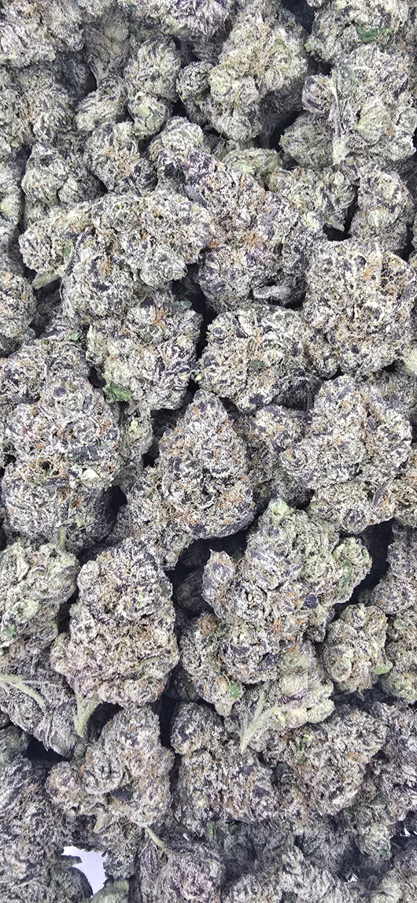 Super Runtz | First Cut Exclusive | Flower | 7g Packs