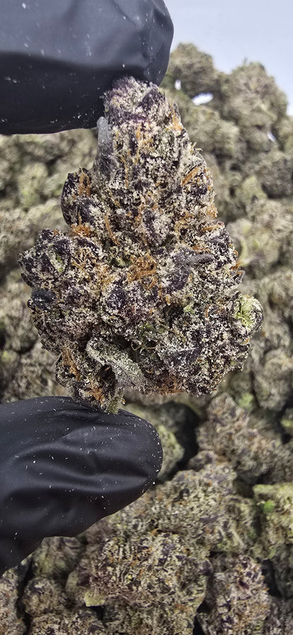 Super Runtz | First Cut Exclusive | Flower | 7g Packs