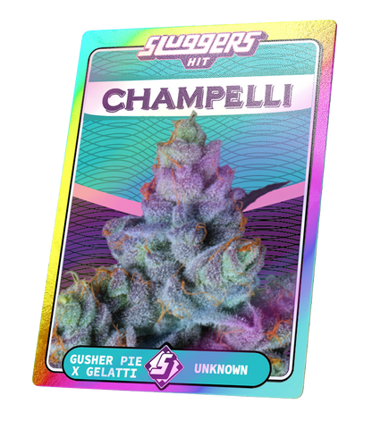 Champelli | SLUGGERS | Infused PreRoll Pack image 2