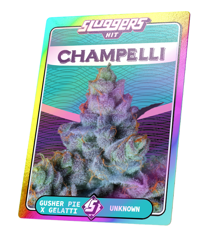 Champelli | SLUGGERS | Infused PreRoll Pack image 2