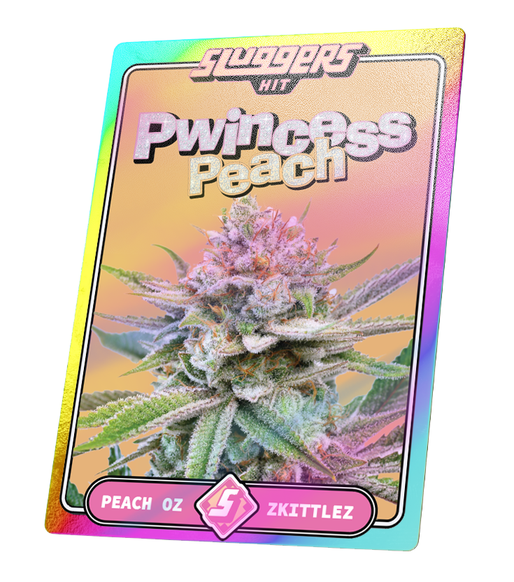 Pwincess Peach | SLUGGERS | Infused PreRoll Pack image 3