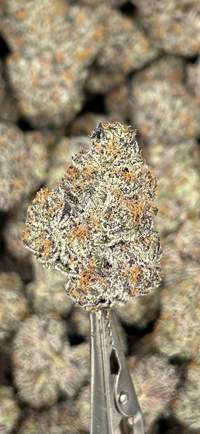 El Diablo | Boutique Tier image 1