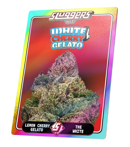 White Cherry Gelato | SLUGGERS | Infused PreRoll Pack image 2