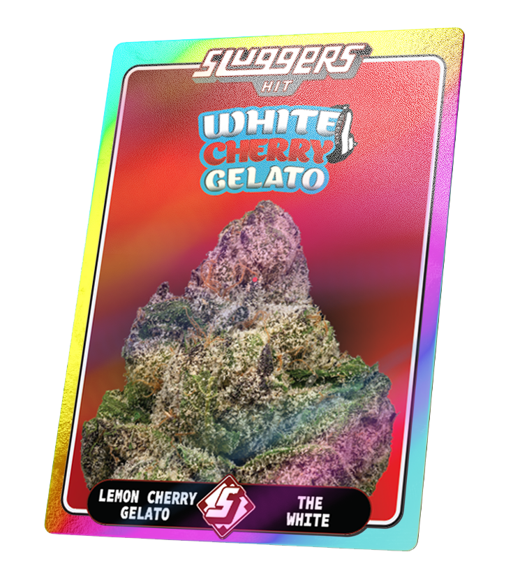 White Cherry Gelato | SLUGGERS | Infused PreRoll Pack image 2