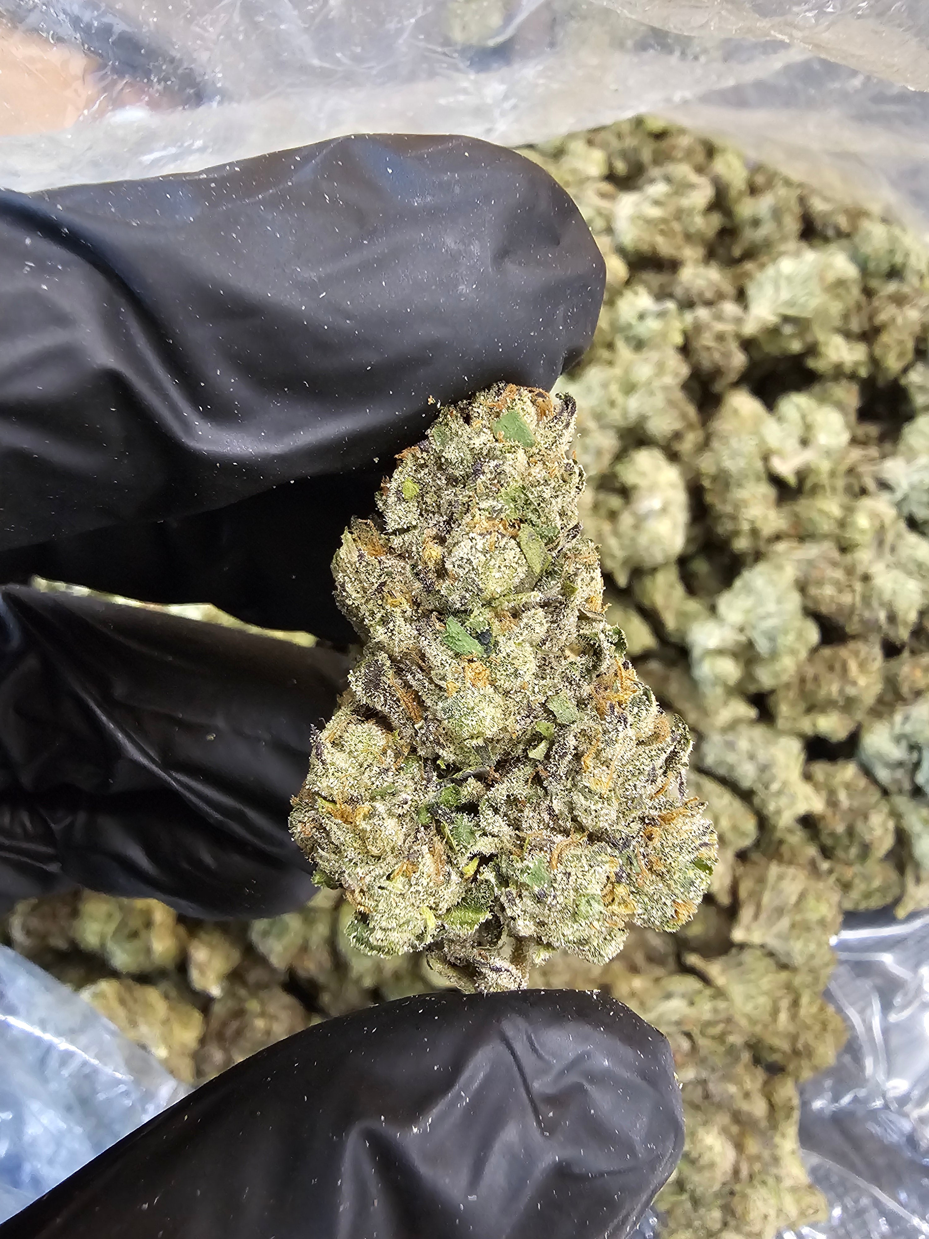 Shadow Kush | Top Tier | Flower
