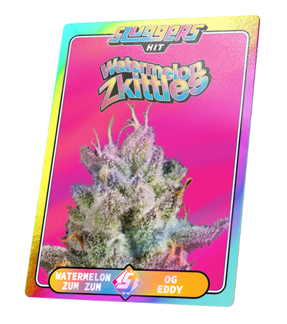 WaterMelon Skittelz | SLUGGERS | Infused PreRoll Pack image 1
