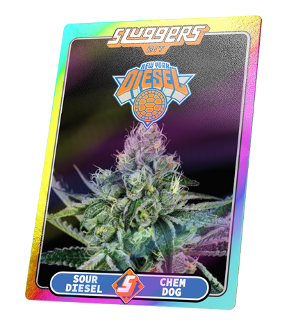 New York Diesel | SLUGGERS | Infused PreRoll Pack image 3