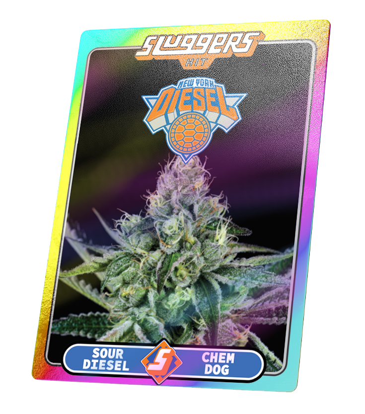 New York Diesel | SLUGGERS | Infused PreRoll Pack image 3