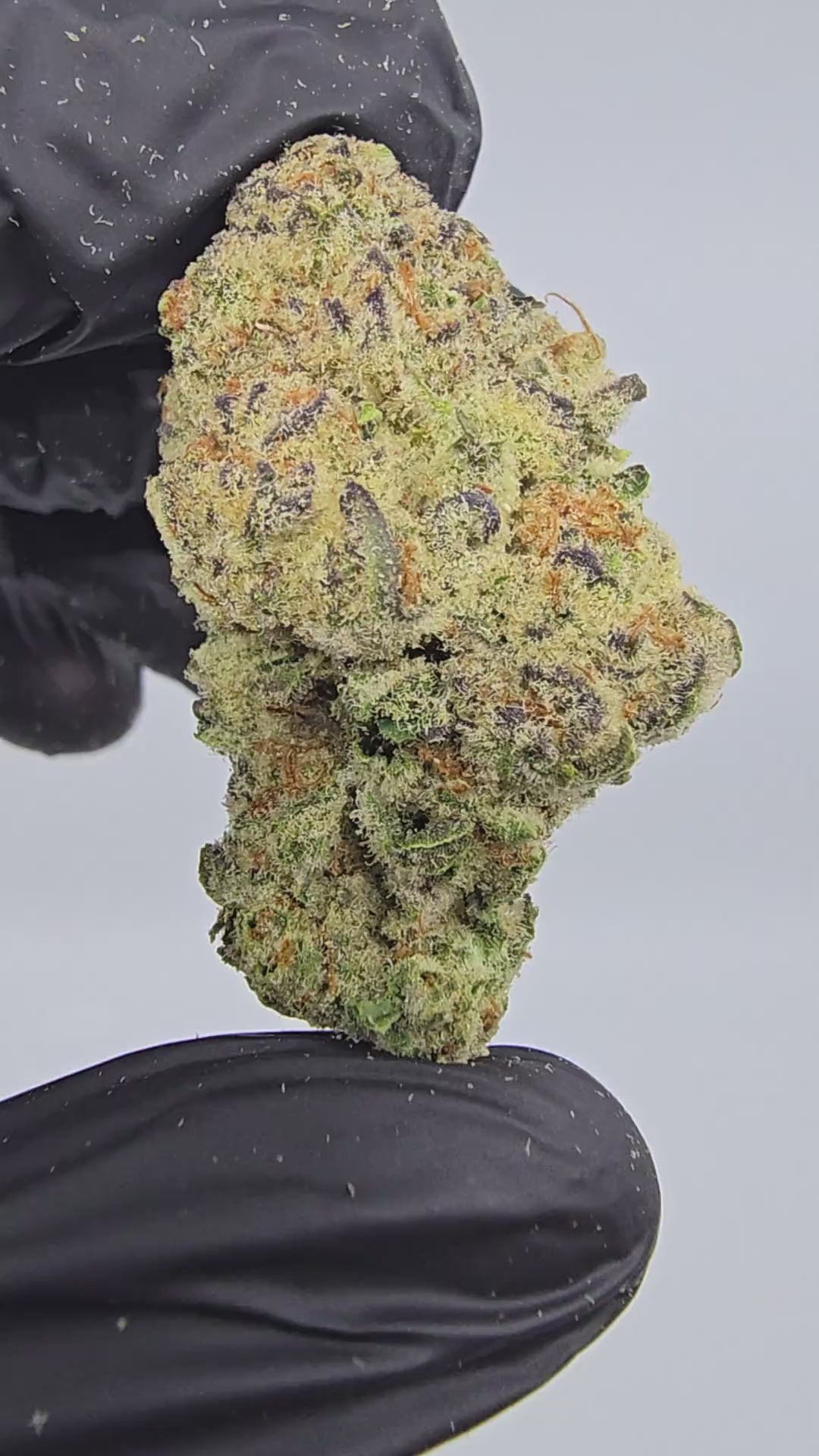 Load video: Banana Smoothies | Top Tier | Flower