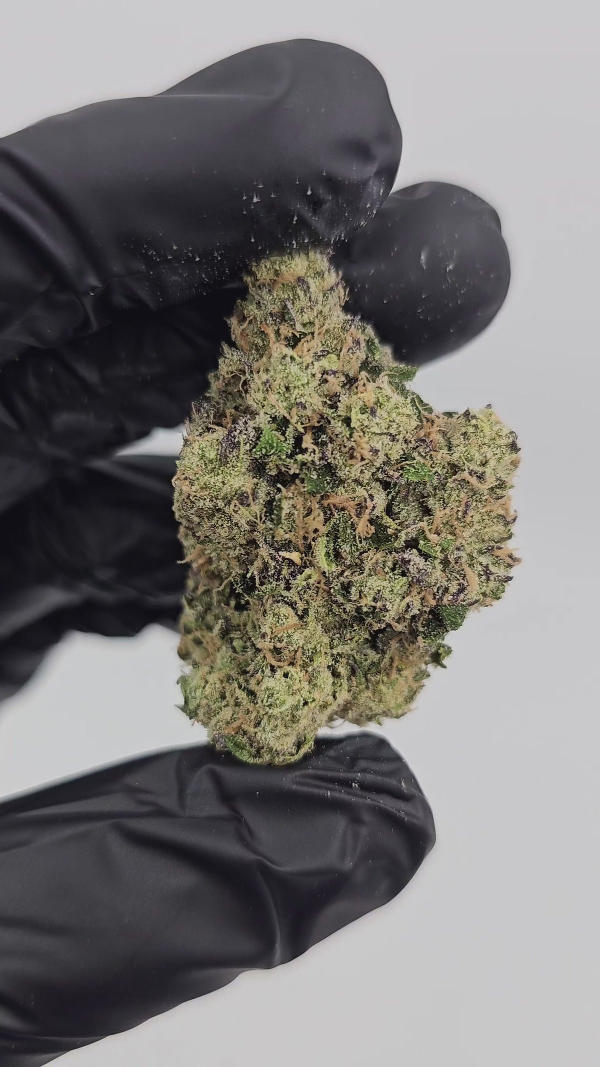 Blue Dream | First Cut Exotics | Flower 36%