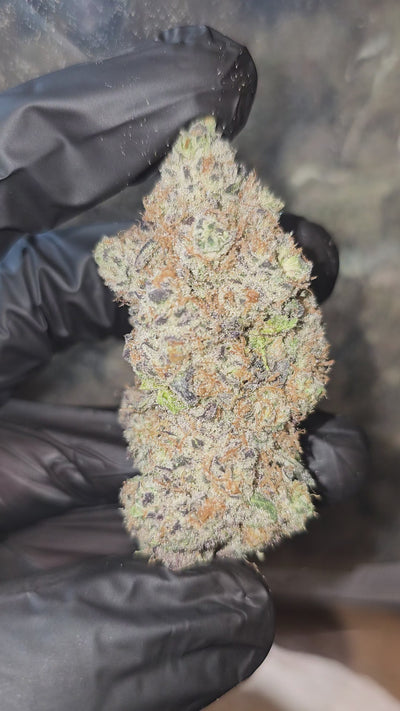 D'Lish | First Cut Exotics | Flower | 29.38%