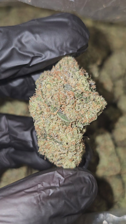 Karamel Kandy | Boutique Exotics | Flower | MEMBERS ONLY DEAL