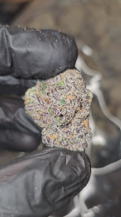 Gaz Money | First Cut Exotics | Flower | 30%