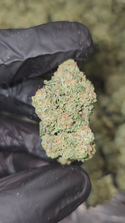 Fiestaz | Top Shelf | Flower