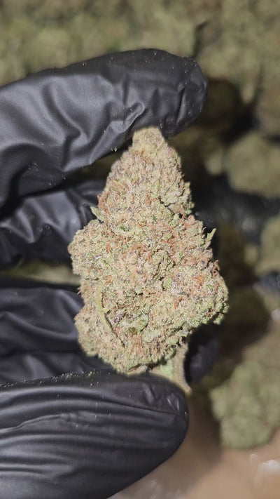 Donny Burger | Top Shelf Flower | On Sale