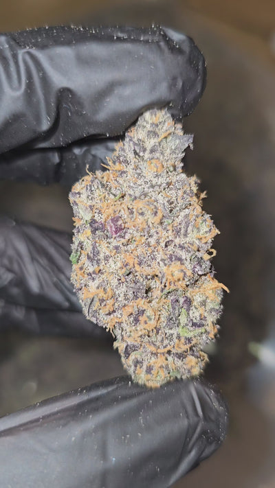 Black Onion | First Cut Exotics | Flower