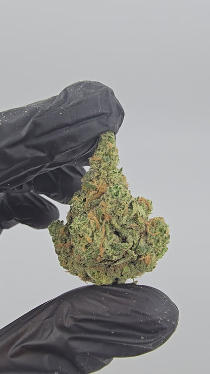 Blue Dream | Boutique Tier | Flower