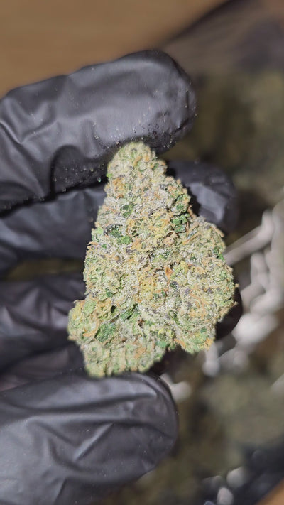 Super Sour Sherb | First Cut Exotics | Flower