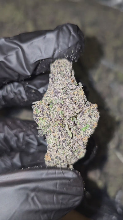 Rocket Pop | First Cut Exotics | Flower | ON SALE